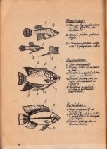 Malá prírucka akvaristiky, 1954